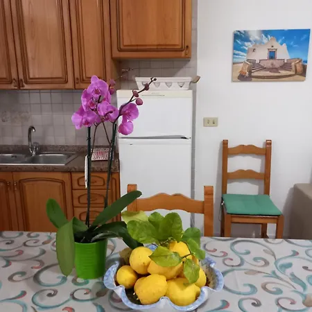 Appartement L'orchidea