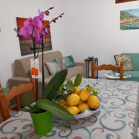 Appartement L'orchidea