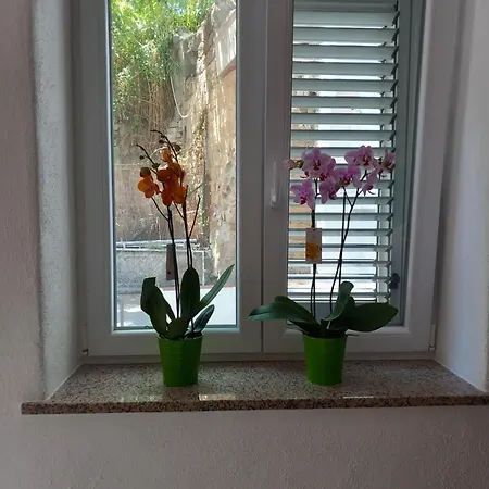 L'orchidea アパート