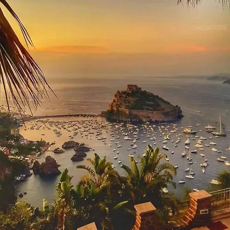 アパート L'orchidea