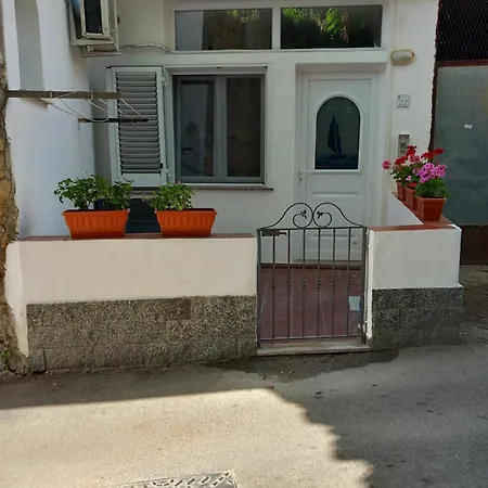 L'orchidea アパート *