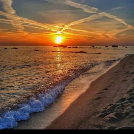 L'orchidea Forio di Ischia