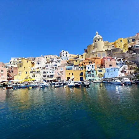 L'orchidea * Forio di Ischia