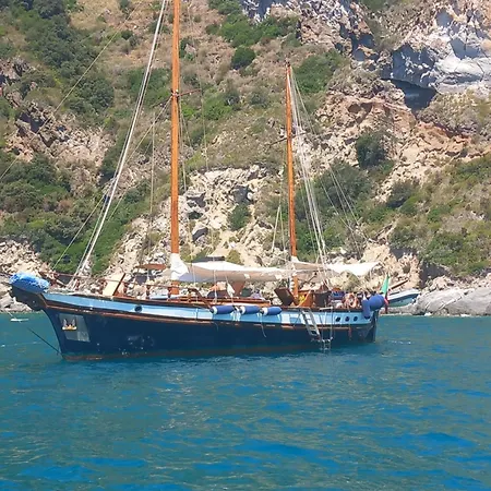 L'orchidea Forio di Ischia