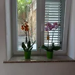 L'orchidea Apartmán