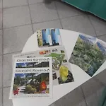 L'orchidea Forio di Ischia