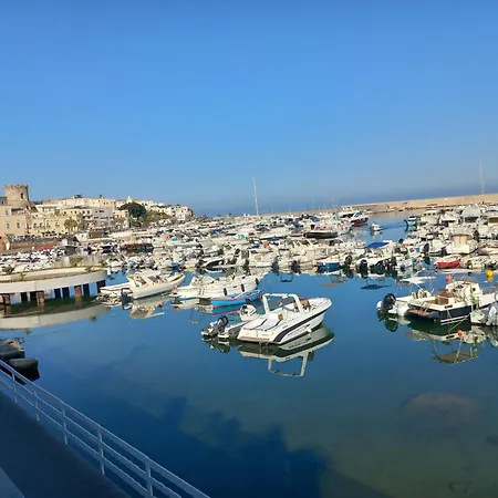 L'orchidea Forio (Isola d'Ischia)