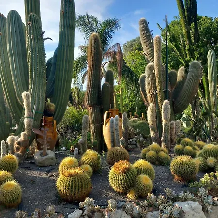 L'orchidea 아파트