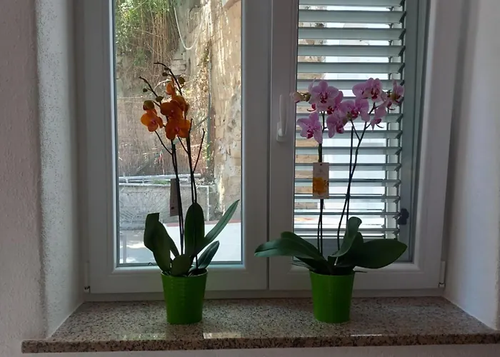 L'orchidea Апартаменты