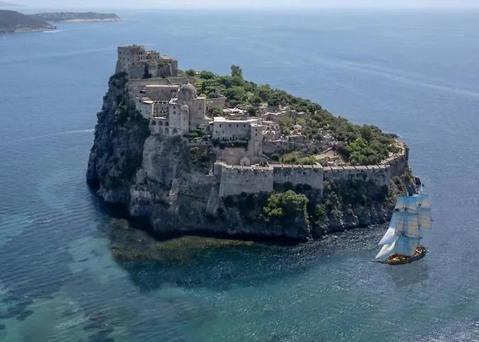 L'orchidea Daire Forio di Ischia