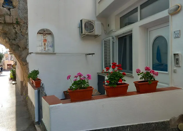L'orchidea Daire