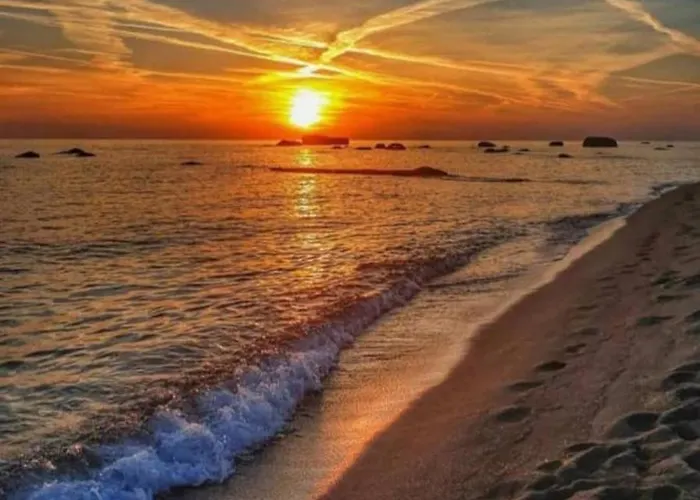 L'orchidea Форио