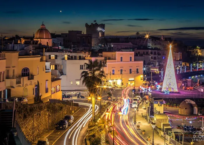 L'orchidea Daire Forio di Ischia