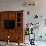L'orchidea